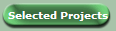 Selected Projects